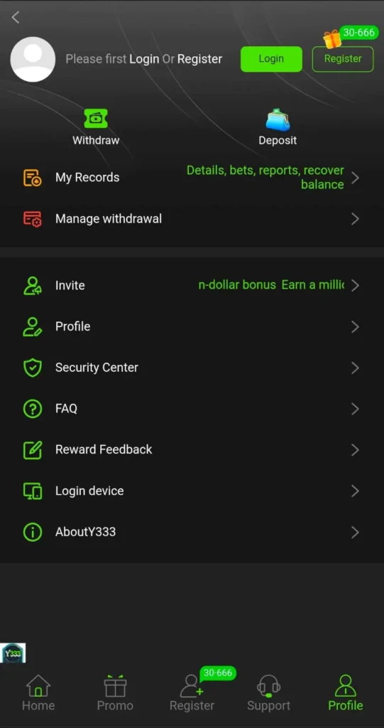 Y333 Profile